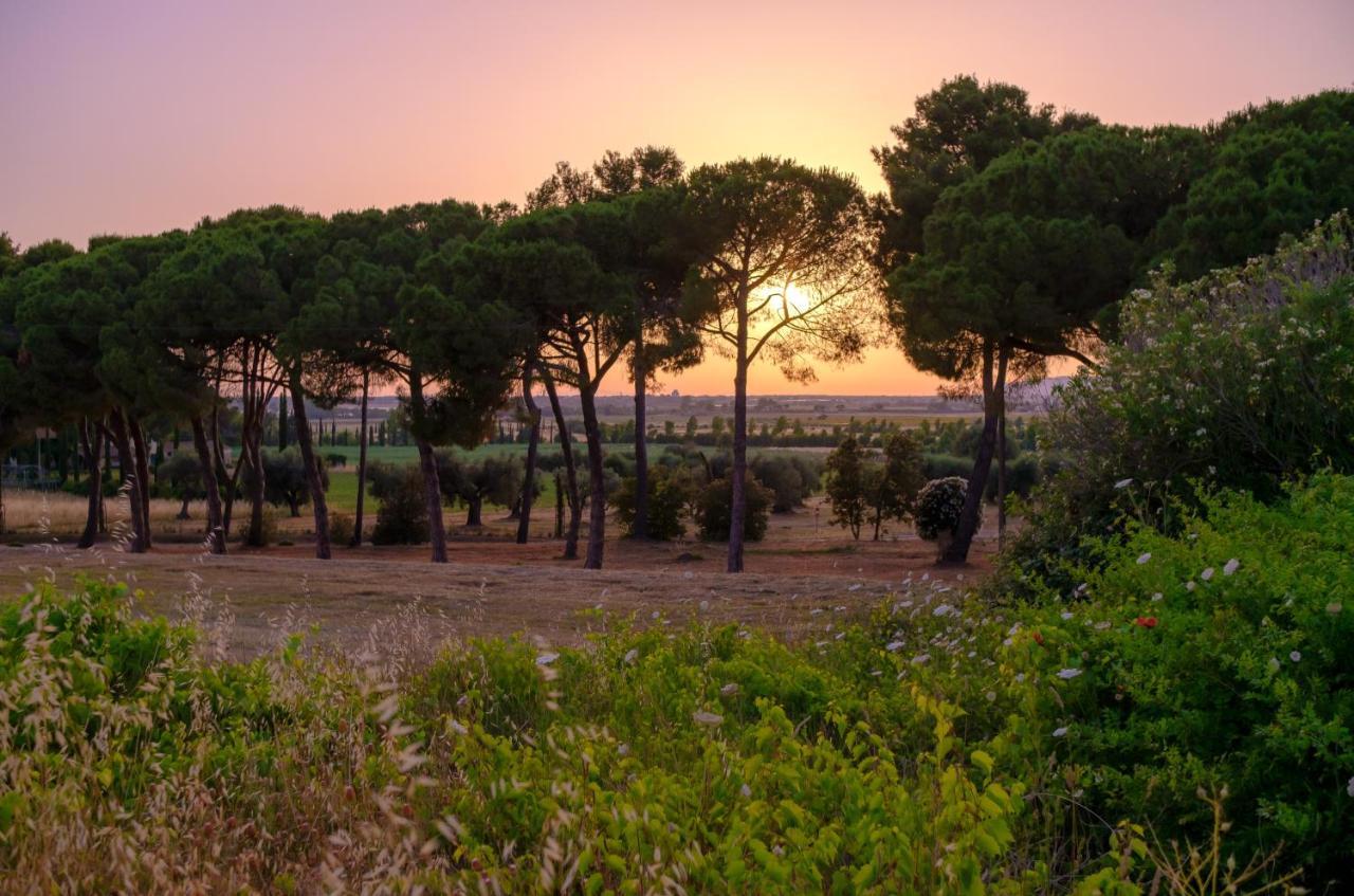 Antica Fattoria La Parrina Villa Orbetello Kültér fotó